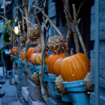 今年は大人なハロウィン!大阪で買える可愛いスイーツでプチハロウィン気分を味わおう♪