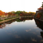 紅葉を見に行こうよぅ!1日目:大阪城公園