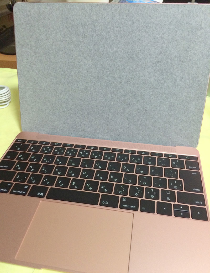 MacBook Early 2016 ローズゴールド