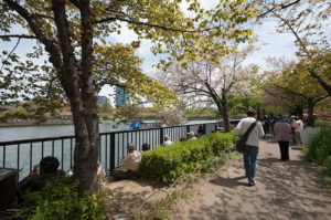 大阪造幣局桜の通り抜け　屋台