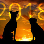 2018年 あけましておめでとうございます!